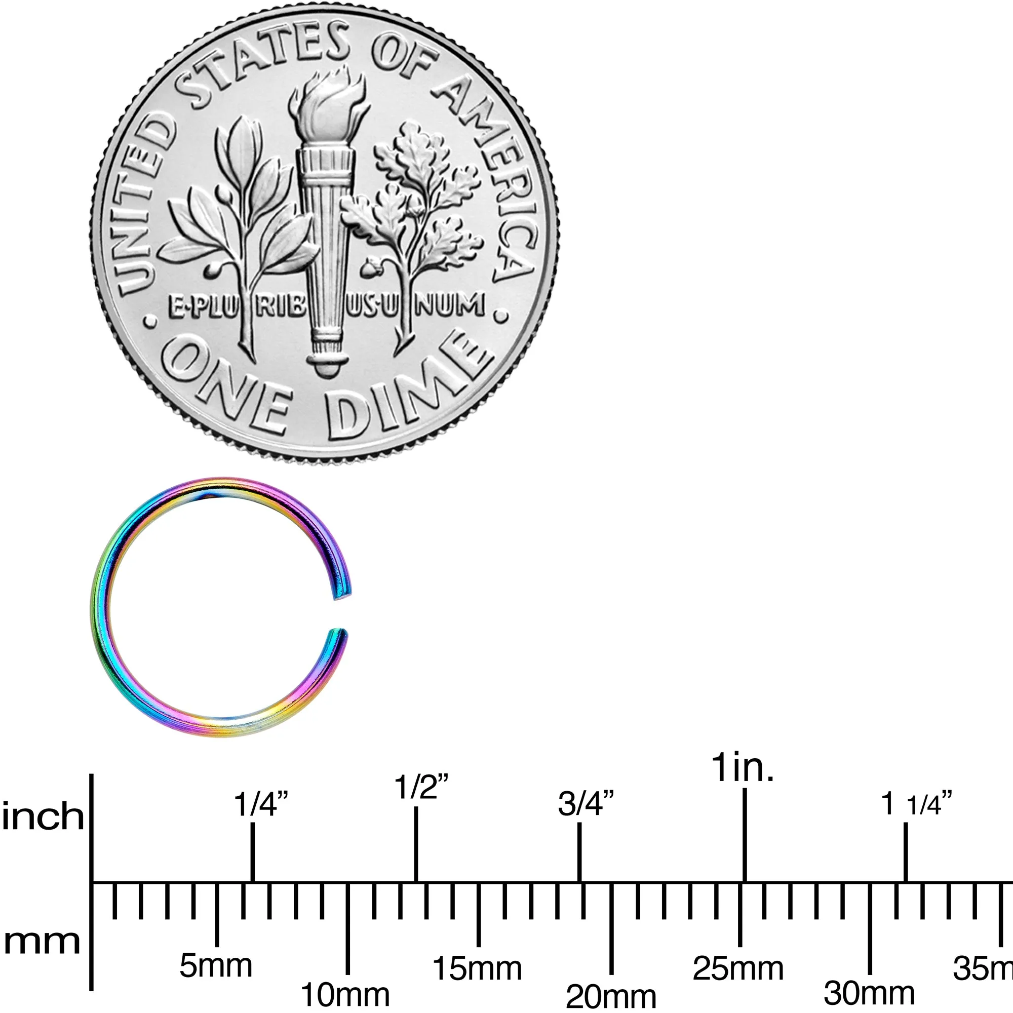 20 Gauge 5/16 Rainbow Anodized Seamless Nose Hoop Set of 12
