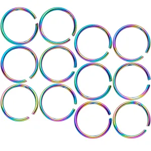 20 Gauge 5/16 Rainbow Anodized Seamless Nose Hoop Set of 12