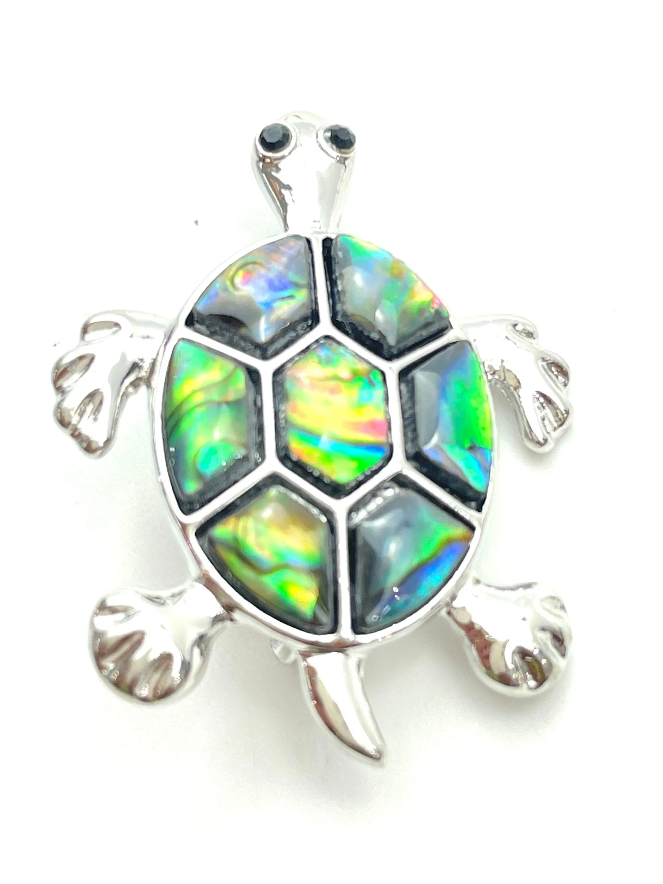 Abalone Little turtle pin