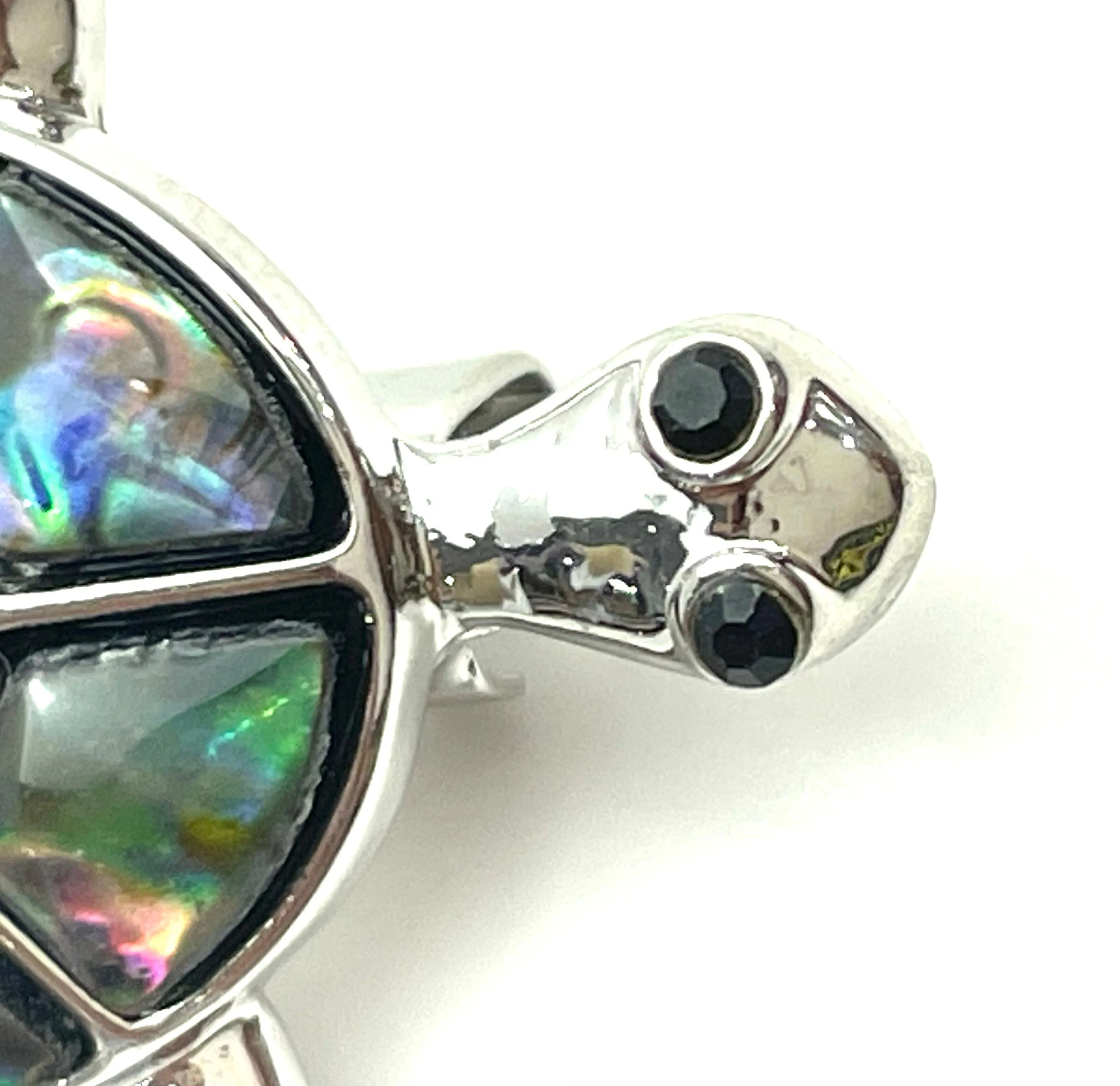 Abalone Little turtle pin