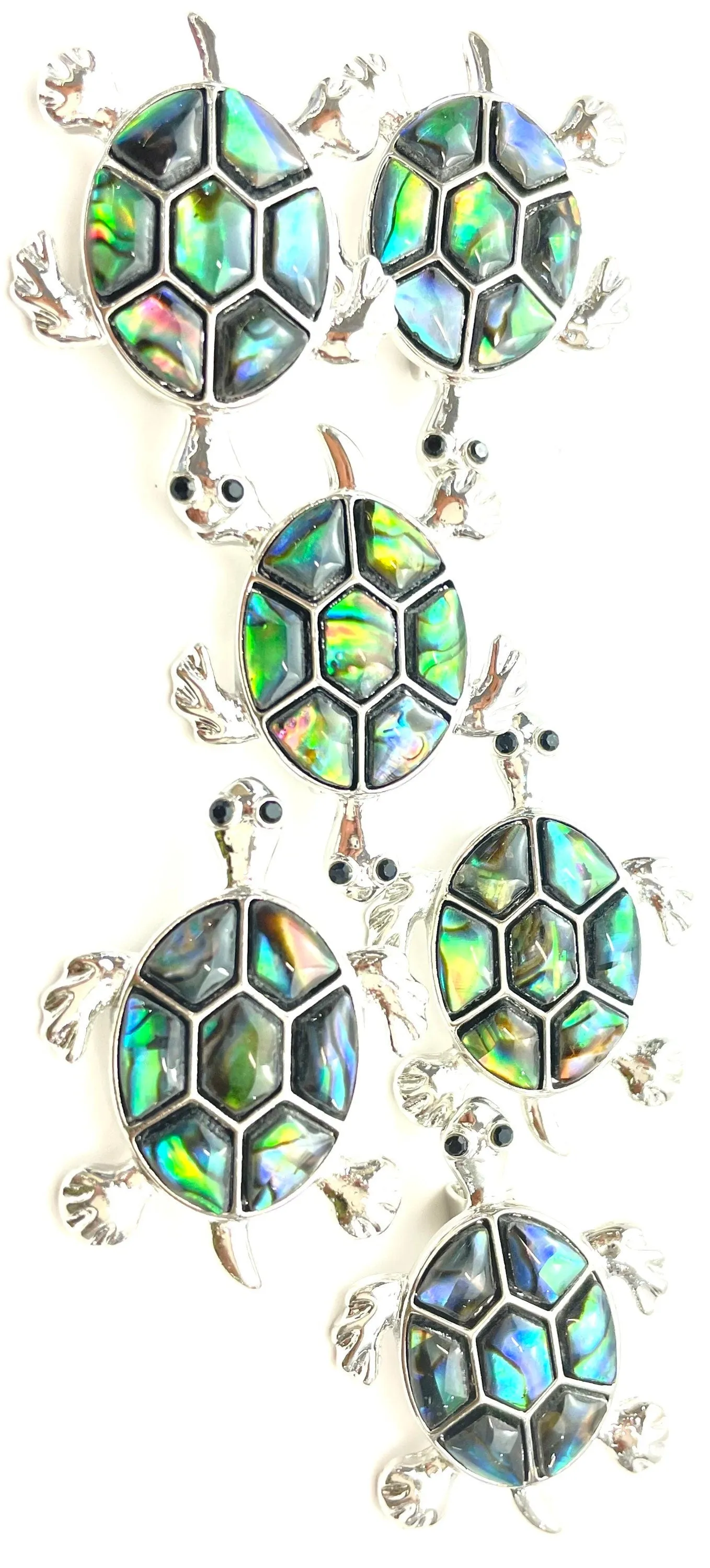 Abalone Little turtle pin