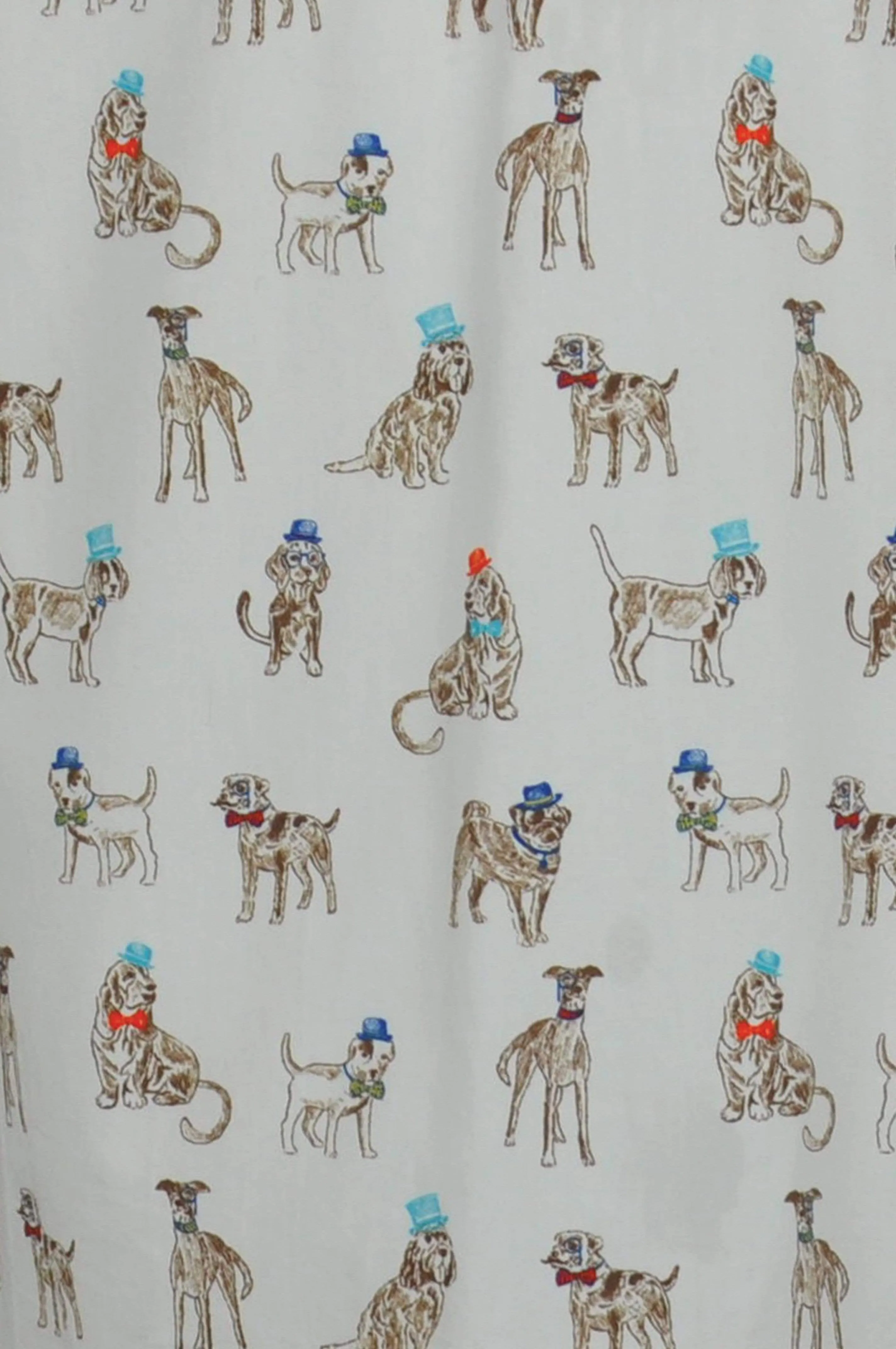Bertie : Unique print shirt & bowtie