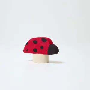 Deco Ladybug
