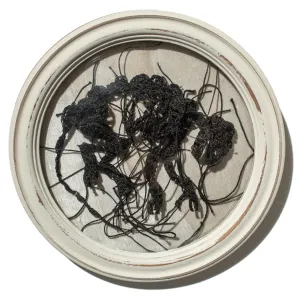 Distemper I