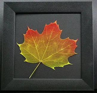 Etched Leaf Coasters