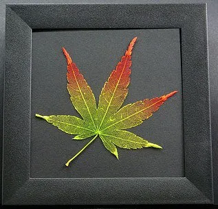 Etched Leaf Coasters