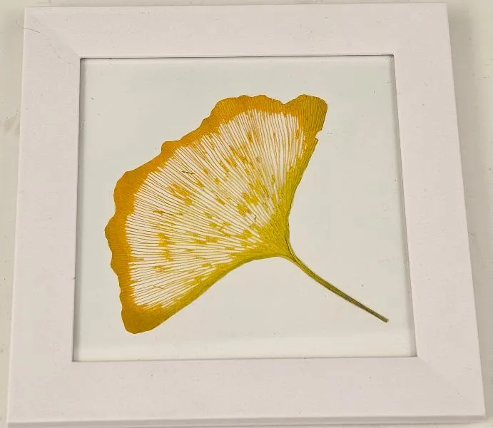 Etched Leaf Coasters