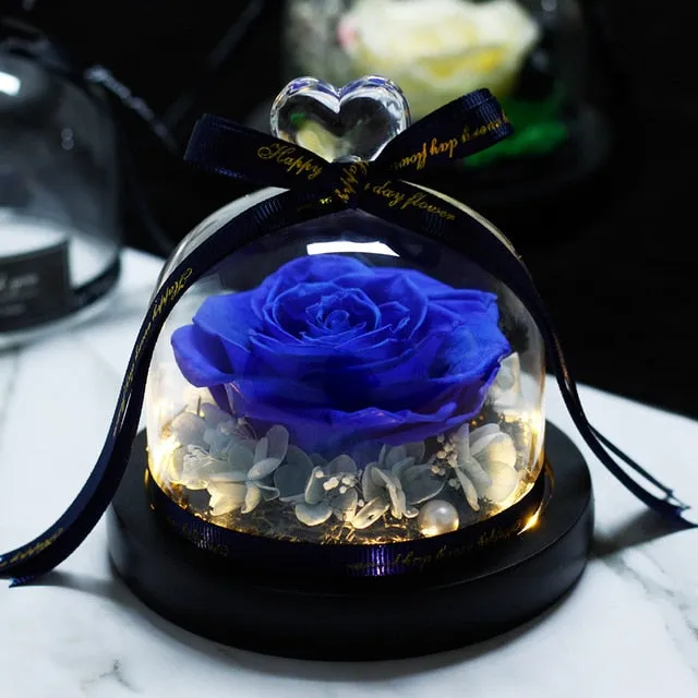 Exclusive Rose in Glass Dome The Beauty and Beast Rose Romantic Special person Special day