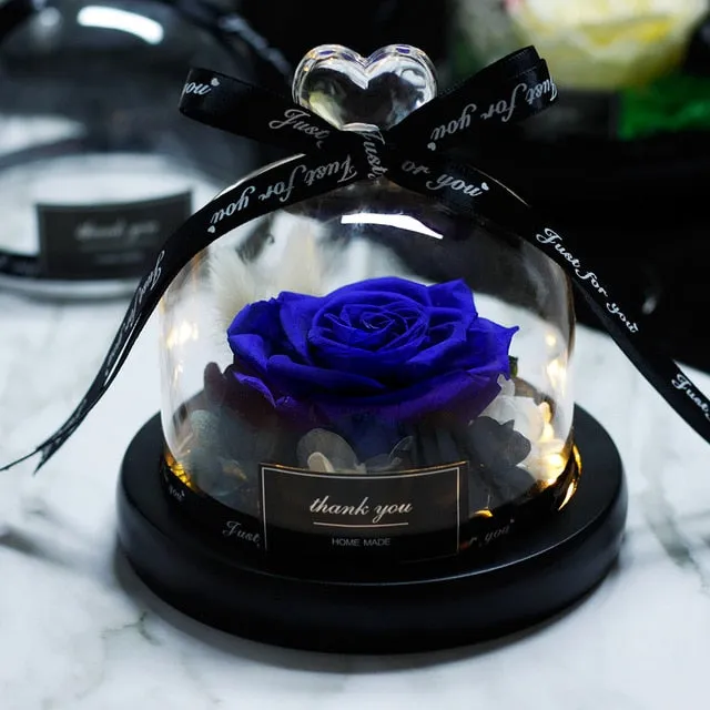 Exclusive Rose in Glass Dome The Beauty and Beast Rose Romantic Special person Special day
