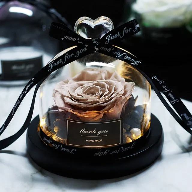 Exclusive Rose in Glass Dome The Beauty and Beast Rose Romantic Special person Special day