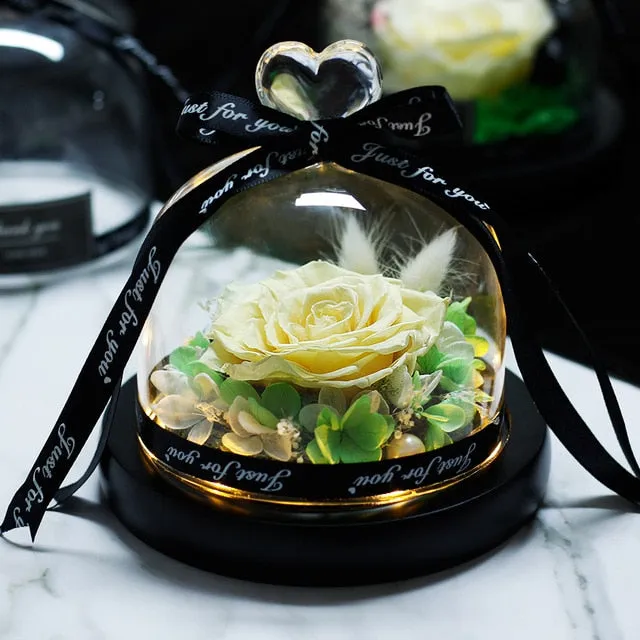 Exclusive Rose in Glass Dome The Beauty and Beast Rose Romantic Special person Special day