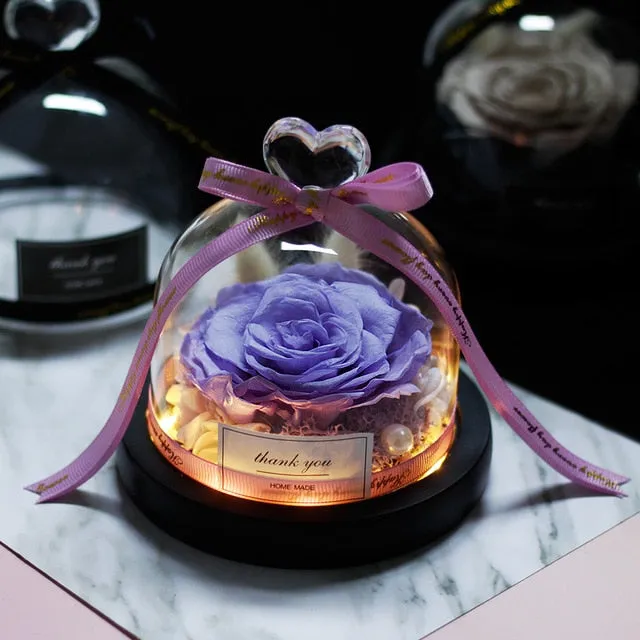 Exclusive Rose in Glass Dome The Beauty and Beast Rose Romantic Special person Special day
