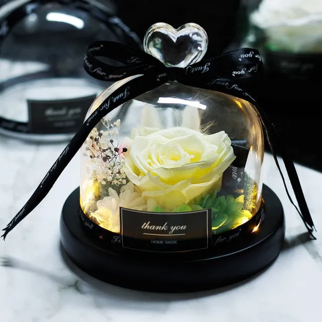 Exclusive Rose in Glass Dome The Beauty and Beast Rose Romantic Special person Special day