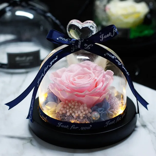 Exclusive Rose in Glass Dome The Beauty and Beast Rose Romantic Special person Special day