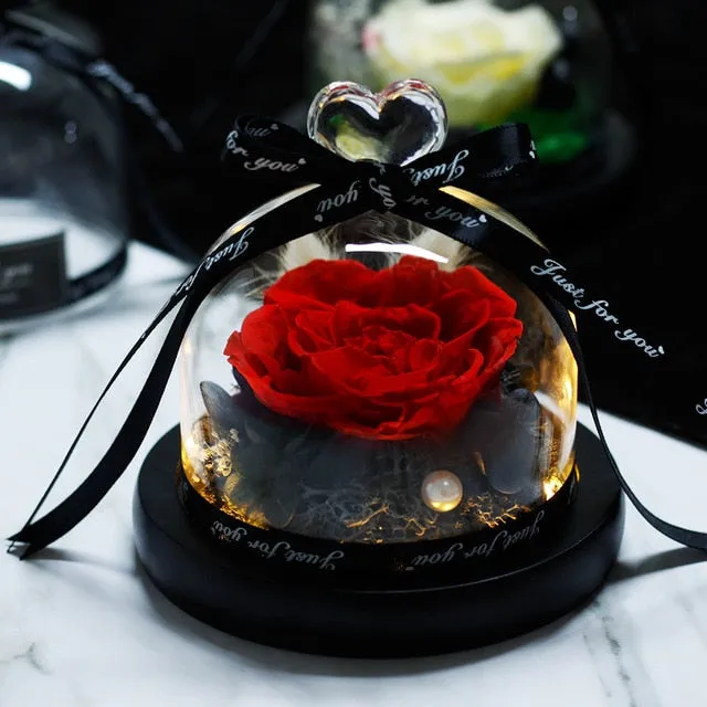 Exclusive Rose in Glass Dome The Beauty and Beast Rose Romantic Special person Special day