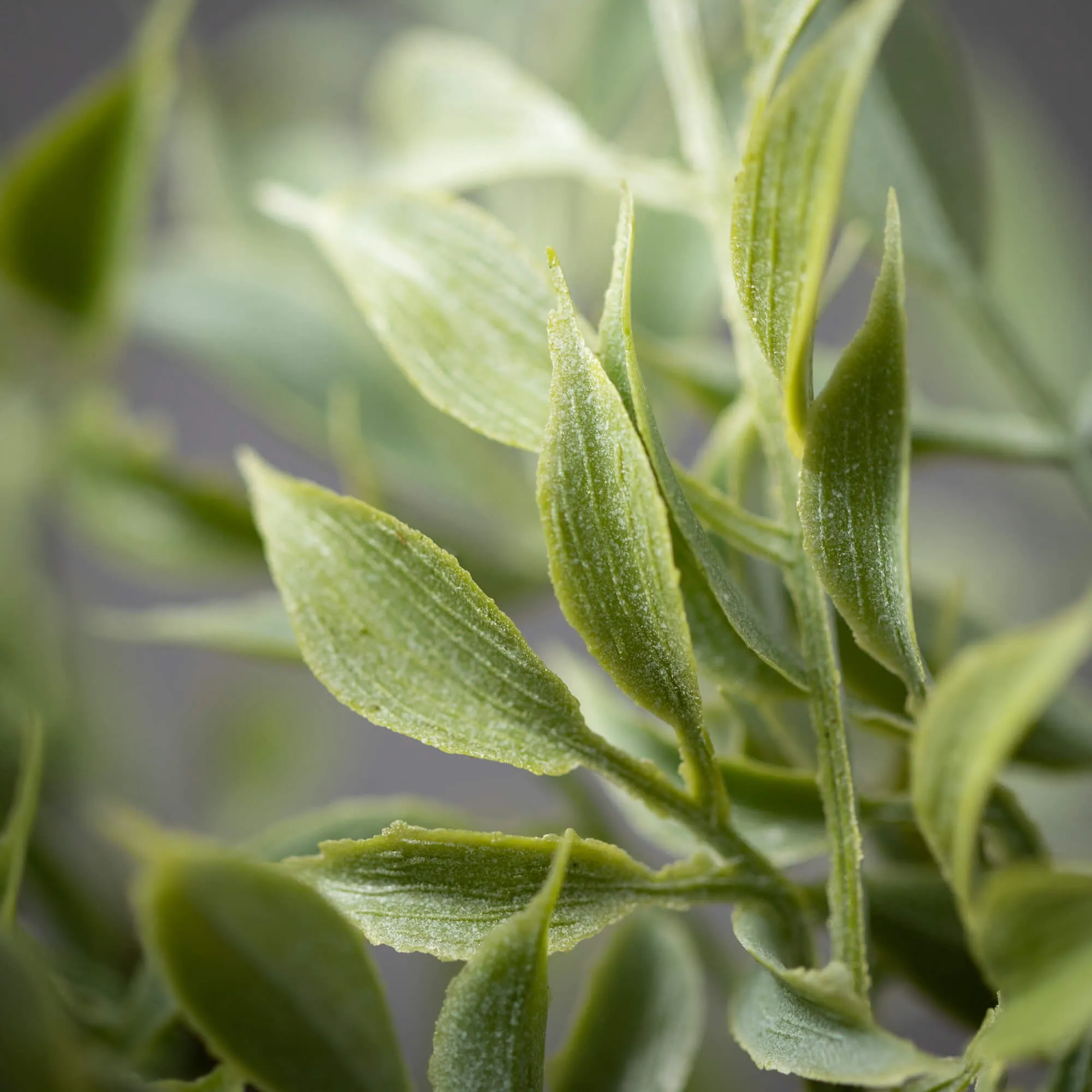 Faux Dusted Tea Leaf Branch