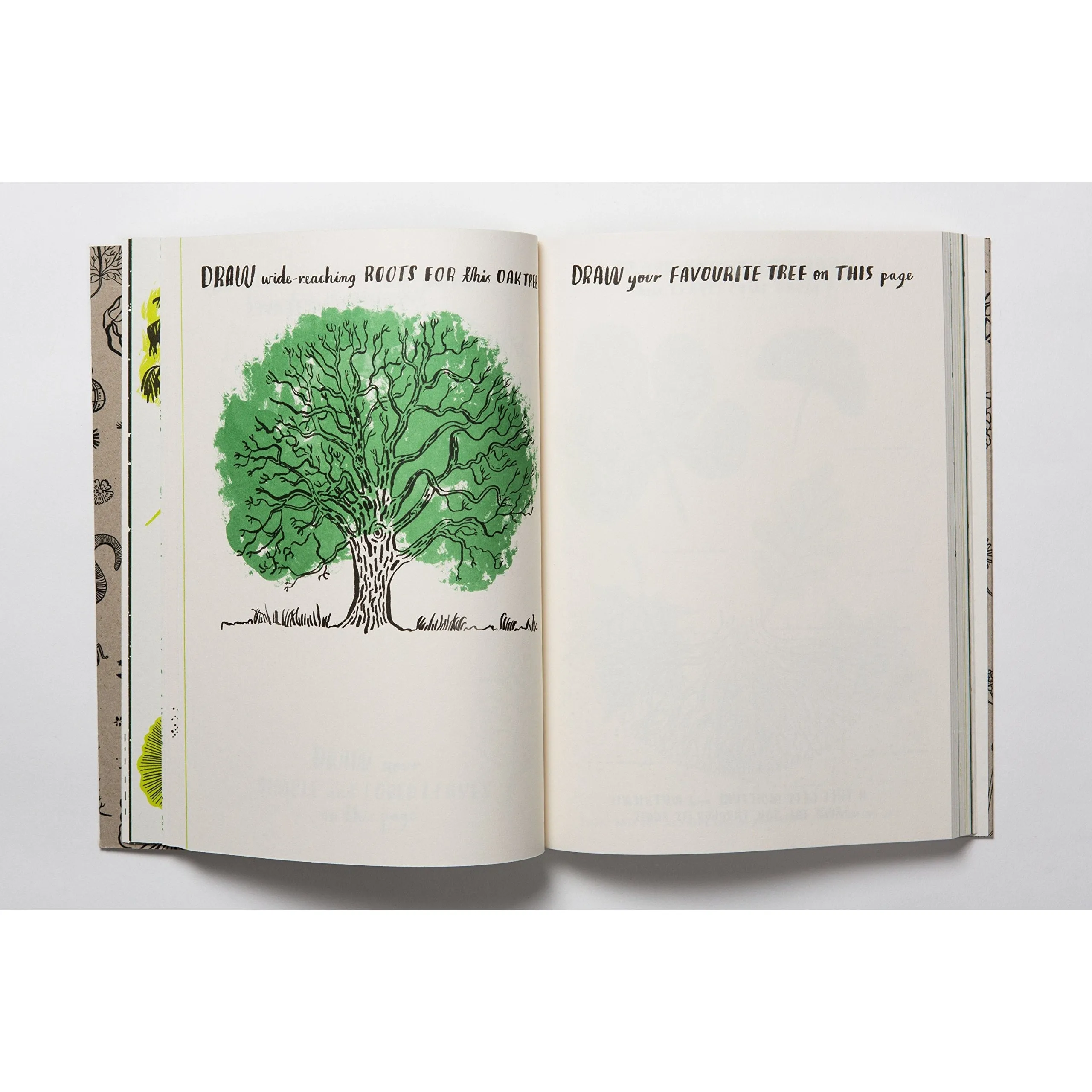 Hello Nature Draw Colour, Make and Grow