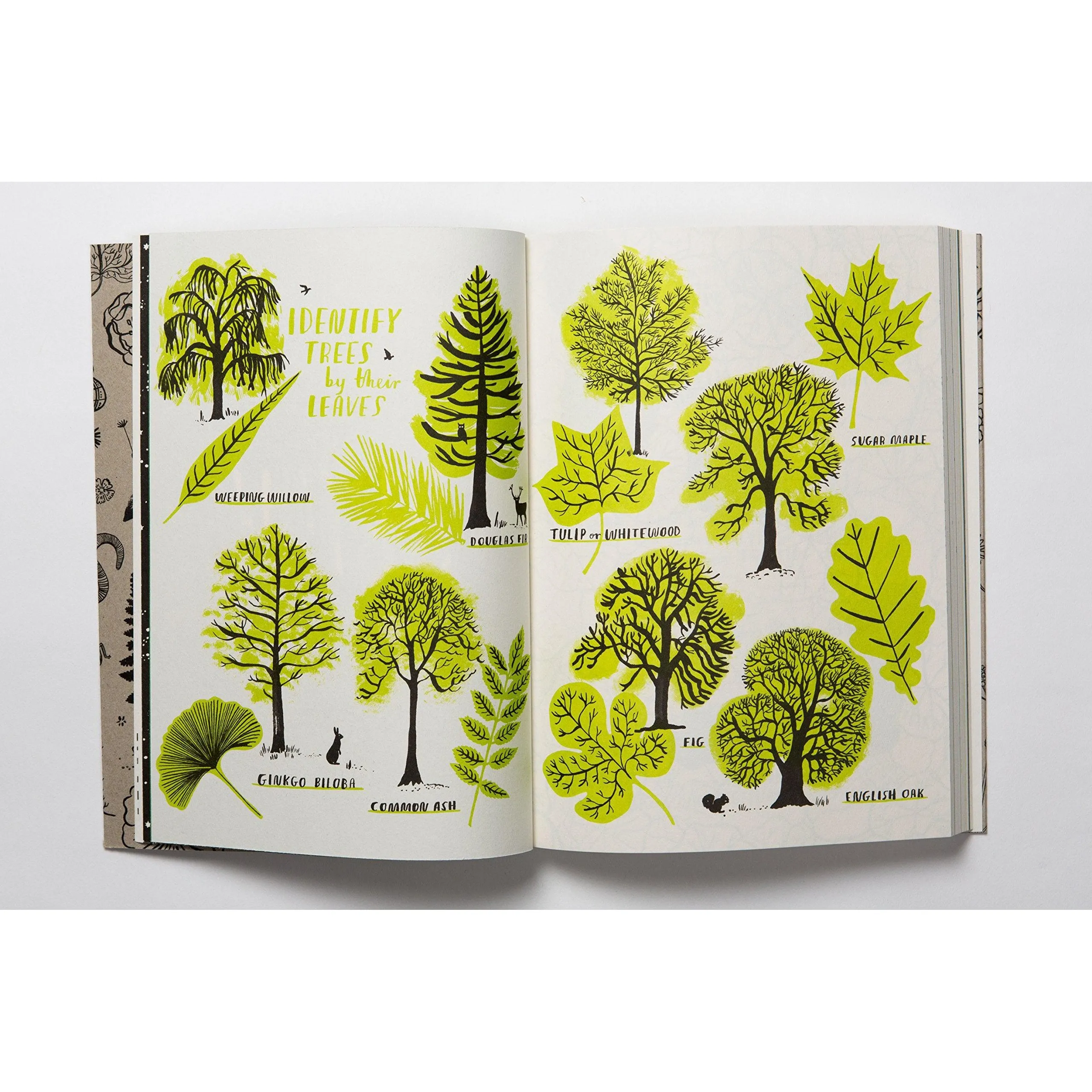 Hello Nature Draw Colour, Make and Grow