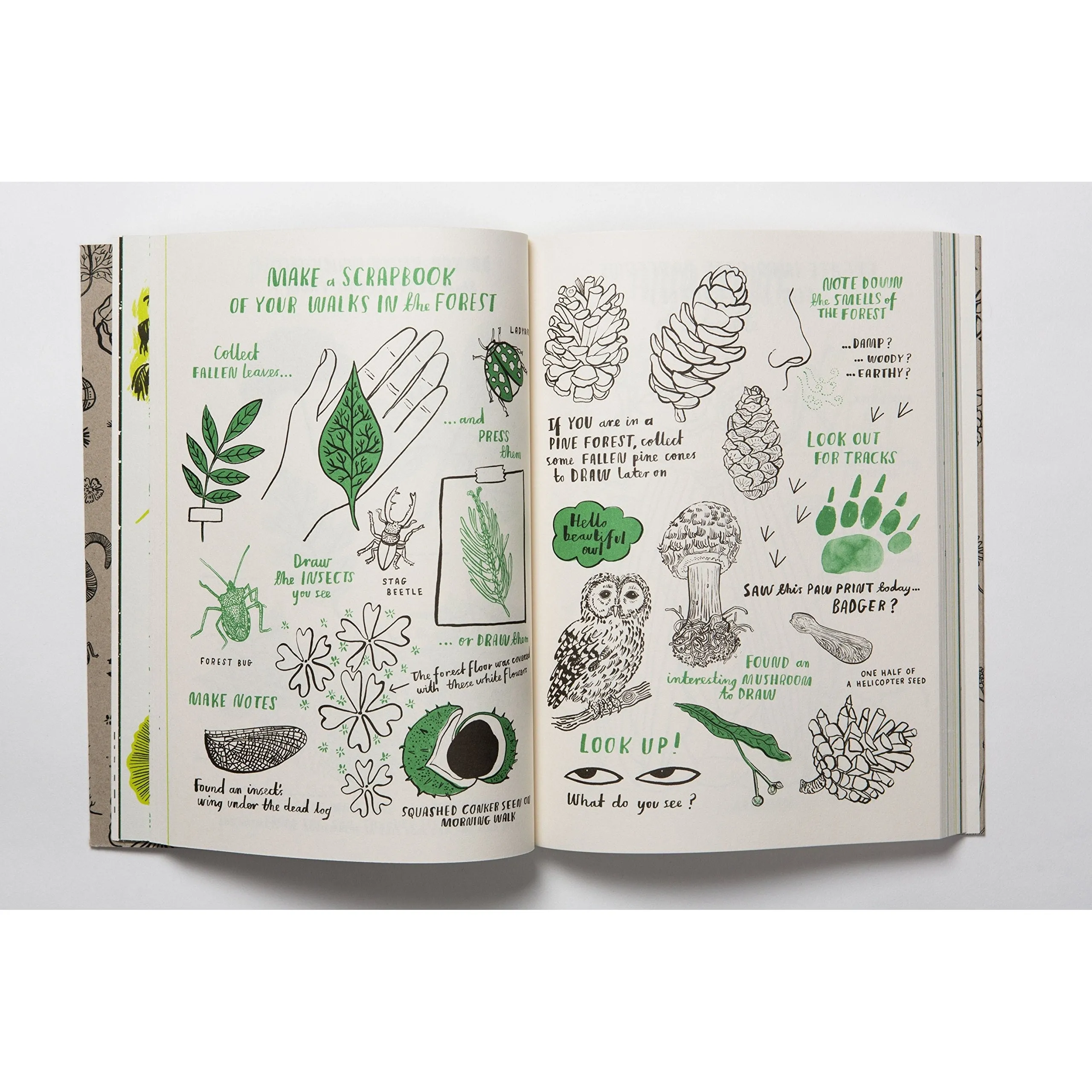 Hello Nature Draw Colour, Make and Grow