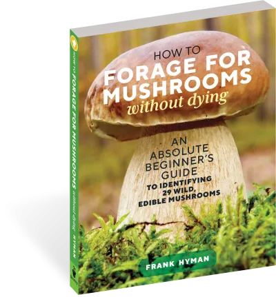 How to Forage for Mushrooms without Dying