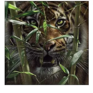 Hungry Eyes