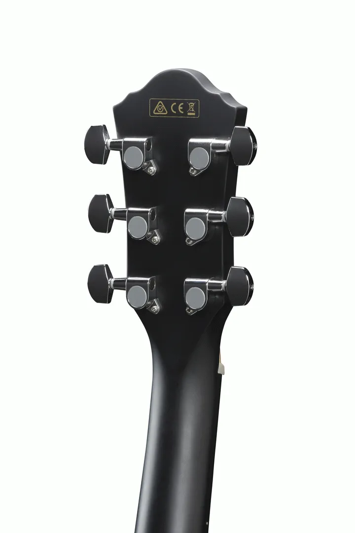 Ibanez AEG50 BK Acoustic Guitar