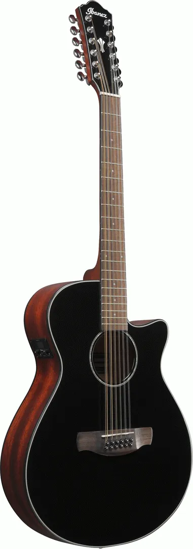 Ibanez AEG5012 BKH 12-String Acoustic Guitar