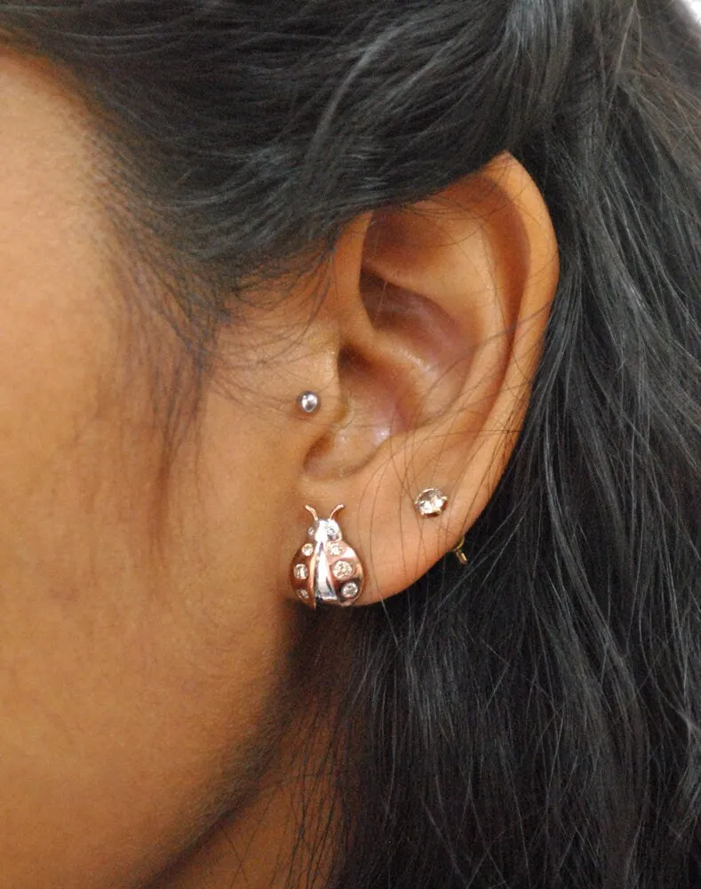 Ladybug Earrings in Sterling Silver, Natural Diamonds Insect Nature Jewelry