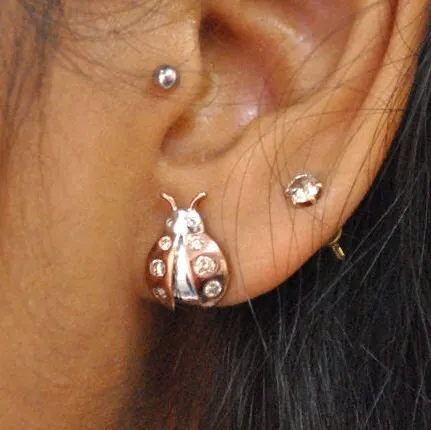 Ladybug Earrings in Sterling Silver, Natural Diamonds Insect Nature Jewelry