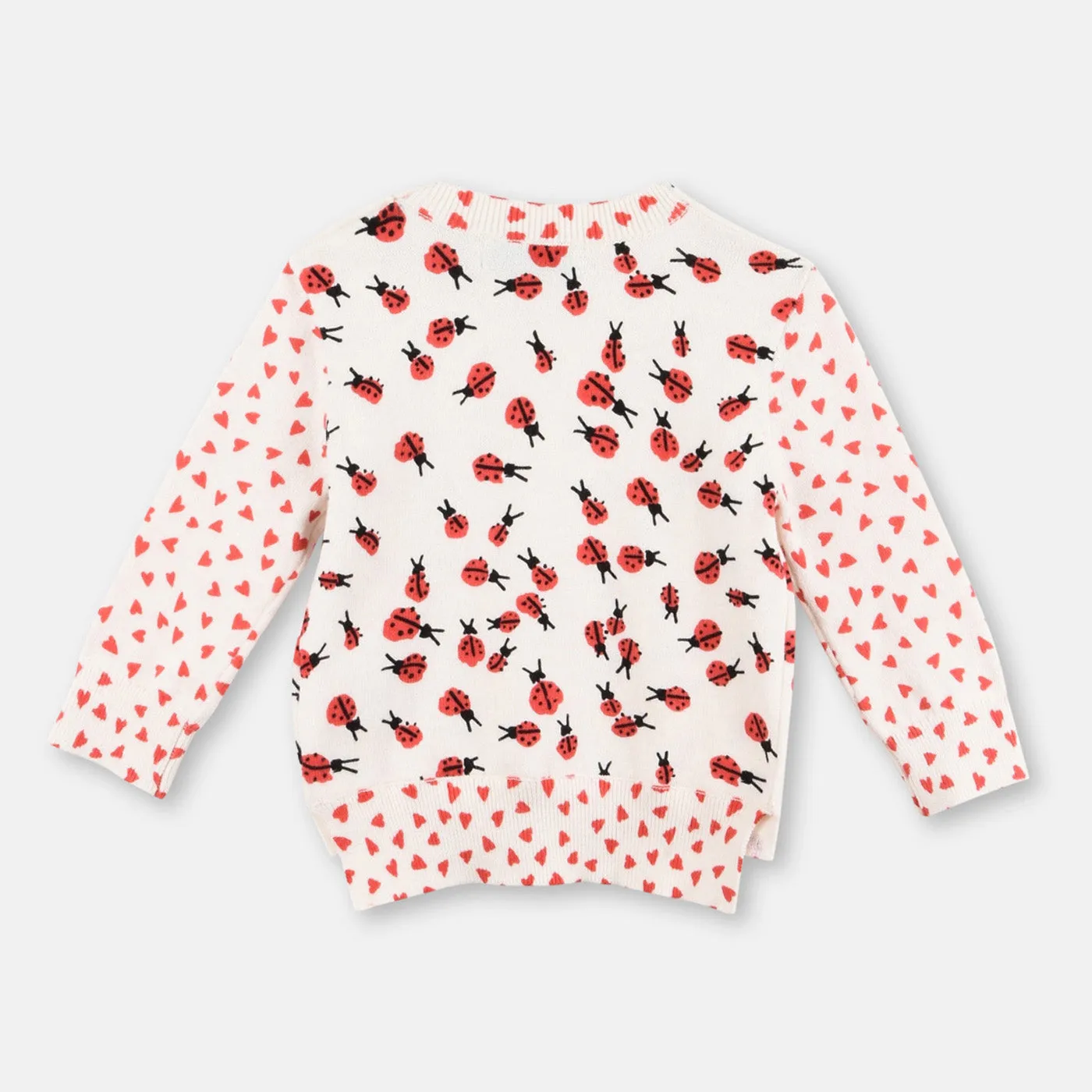 Ladybug Print Sweater