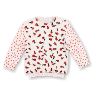 Ladybug Print Sweater