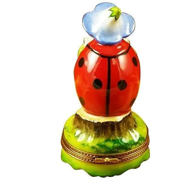 Ladybug reading Book