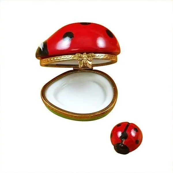 Ladybug with Baby