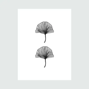Leaf Set Linear Drawing