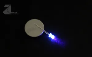 LEDs - Set of 10 - Purple - Blinking