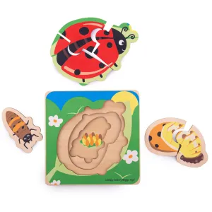 Lifecycle Layer Puzzle - Ladybug