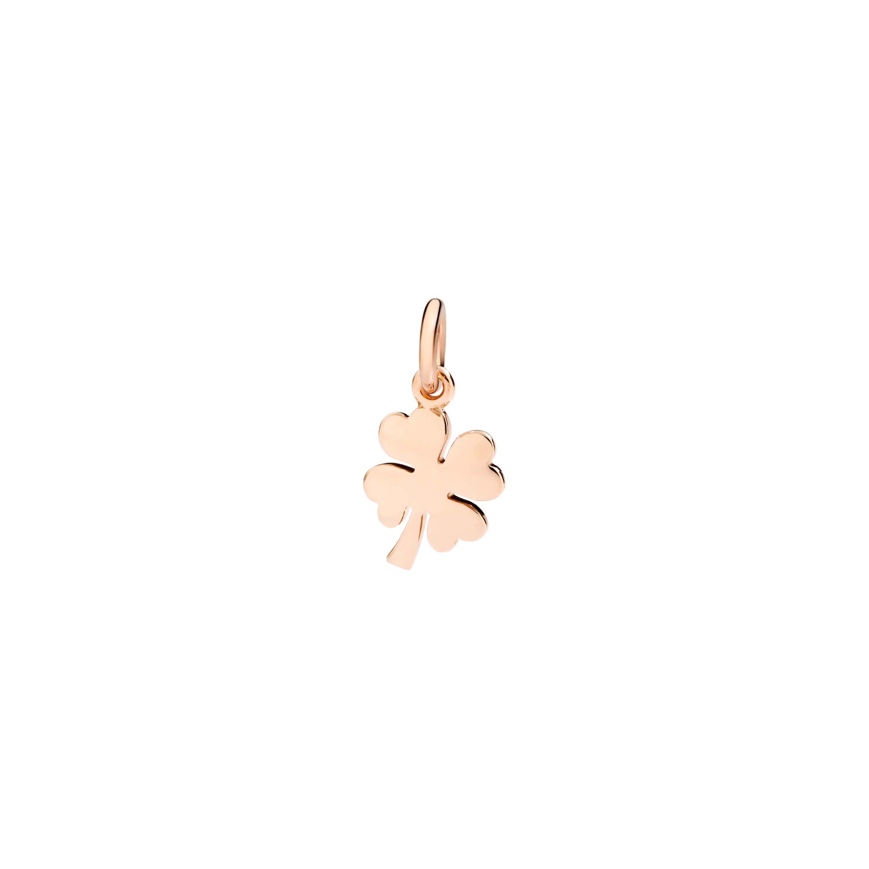 Nature Charm