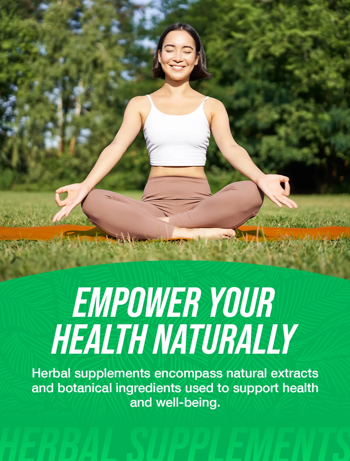 Organic Moringa Extract Powder
