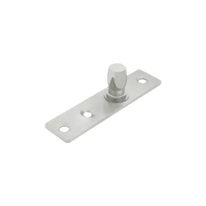 Patch Pivot (PPIV Series) - Top Free Swing Pivot - 3 Holes (BS, MBL) [PPIV401/6606]