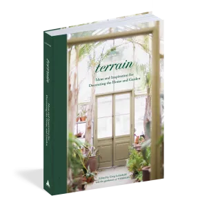 Terrain
