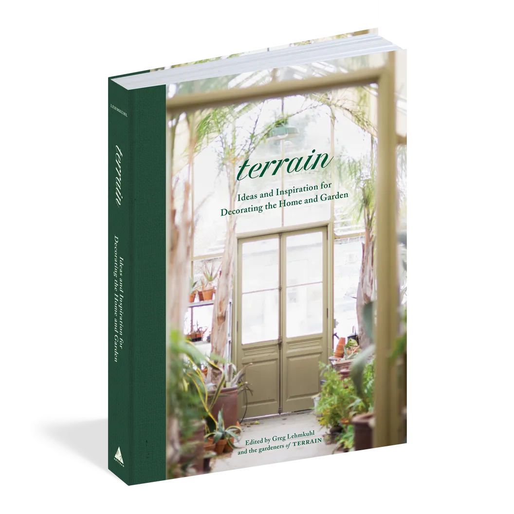 Terrain