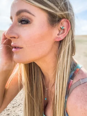 The Branded Feathers Ear Pins