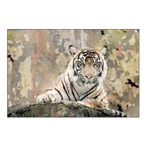 Tiger Love