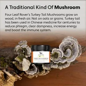 TURKEY TAIL MUSHROOM