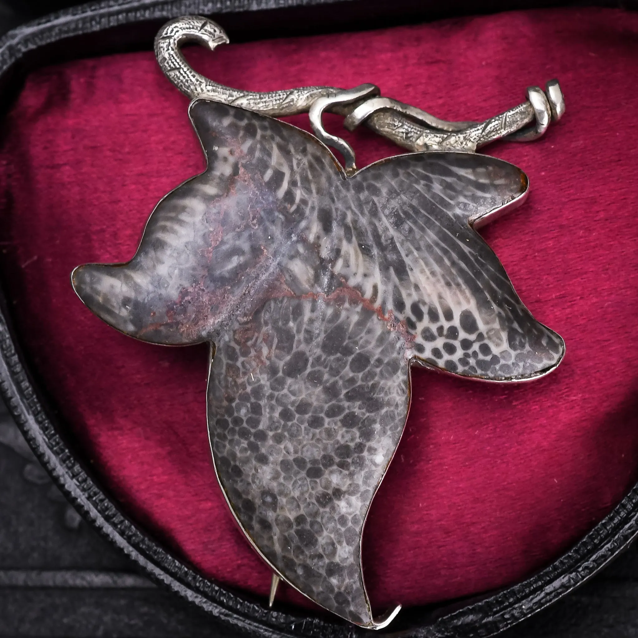 Victorian Fossilised Coral "Ivy Leaf" Brooch